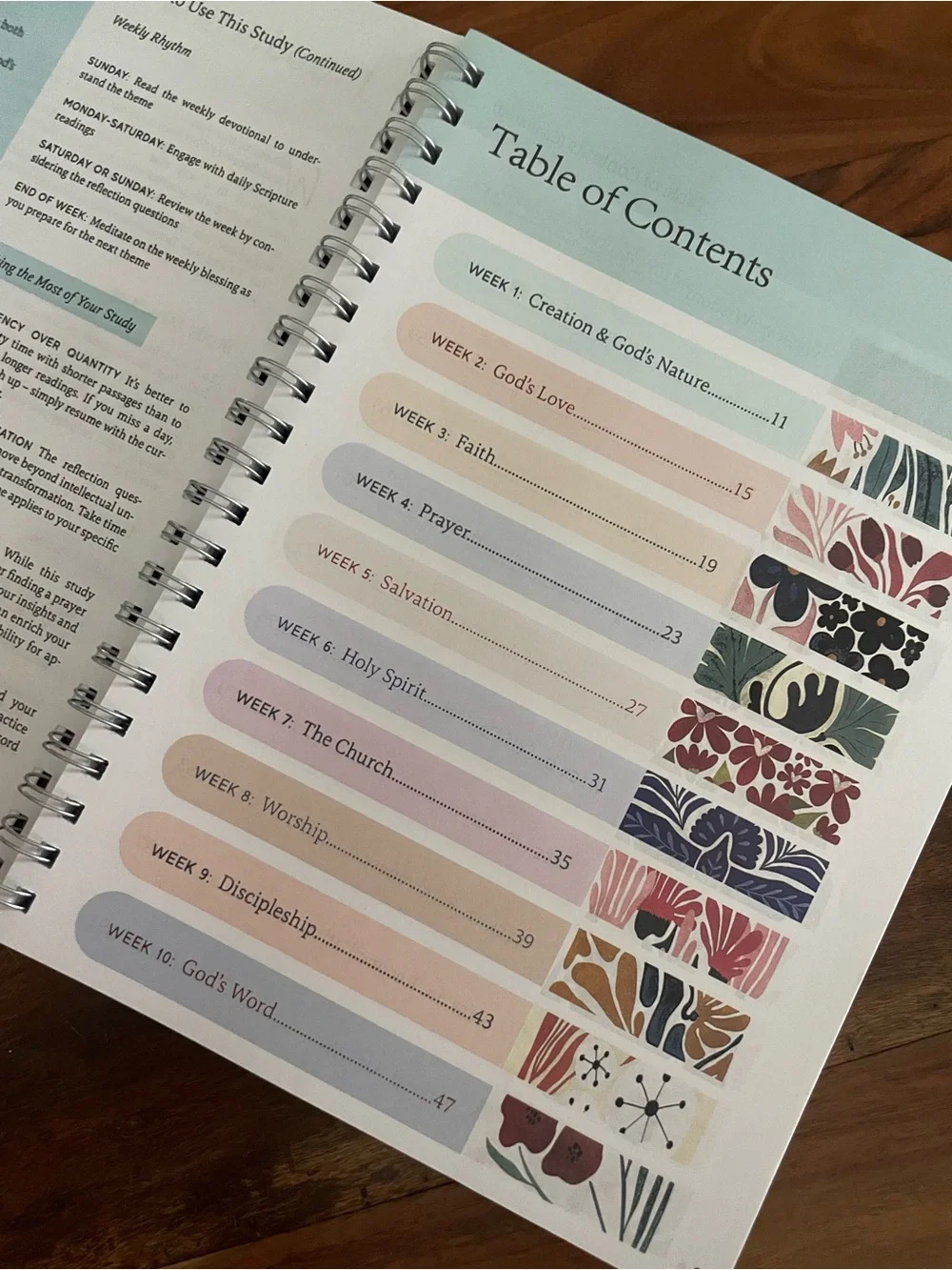 THE BIBLE IN A YEAR: A 52-WEEK JOURNEY SOFTCOVER) & Bible study guide